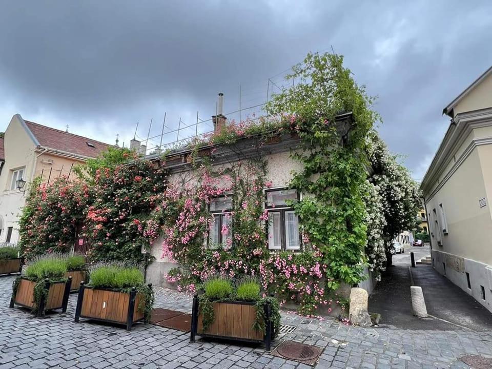 Downtown Romantic Székesfehérvár Exteriör bild